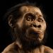 Të shkurtër por jashtëzakonisht të fortë, ja kush kanë qenë “Homo naledi-t” –