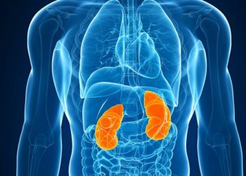 Gurët në veshka shkaktojnë probleme në zemër? Ja e vërteta –