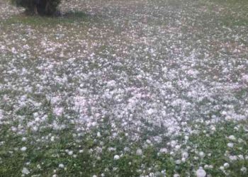 Breshëri i pazakontë mbulon Kukësin, dëmton rëndë bujqësinë –