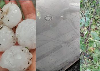 Breshër i pazakontë në Fushë Arrëz, thyen xhamat e automjeteve dhe dëmton bujqësinë –