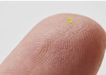 Çanta më e vogël se kokrra e kripës shitet për 63 750 USD –