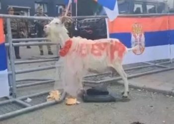 Serbët dalin në protestë me një dhi, cila është simbolika e saj?! –
