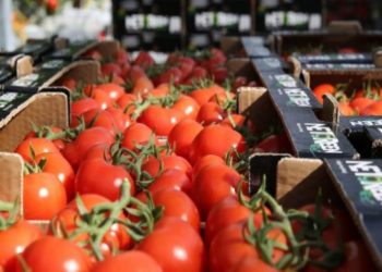 Domatet nga Shqipëria me hormone, Kosova në pritje të rezultateve –