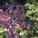 Rreth 500 mijë persona protestë kundër qeverisë në Poloni, thirrje për zgjedhje të lira –