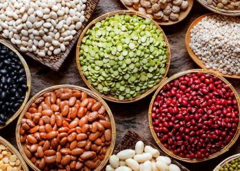 A janë fasulet sekreti i një jete të gjatë e të shëndetshme? –