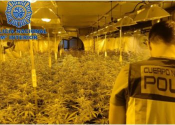 Ktheu fabrikën e këpucëve në ‘fermë kanabisi’, arrestohet 33-vjeçari shqiptar në Spanjë –