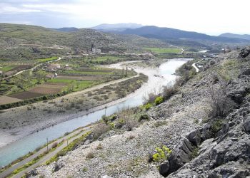 Gjenden mbetje kockore në Pogradec –