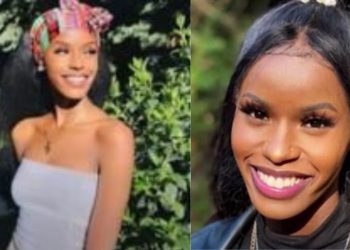 E kam shoqëruar disa herë –