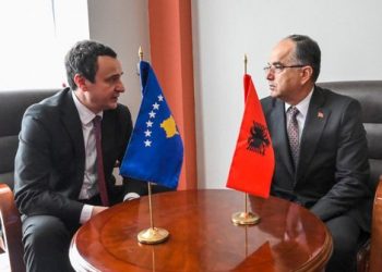 E falenderova për guximin për të dënuar sulmin e Serbisë –