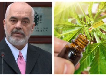 Legalizimi i kanabisit, eksperti zbulon intrigat që qëndrojnë pas këtij ligji –