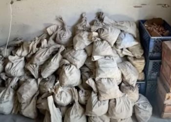 Fillon ta pastrojë shtëpinë, amerikani gjen një milion qindarka –