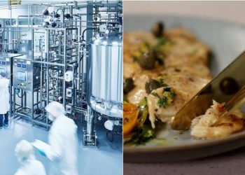 Një epokë e re, mishi i prodhuar në laborator merr miratimin për shitje në SHBA –