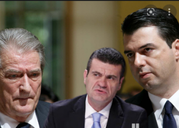 PD ka hyrë në cikël degradimi, ja çfarë do të ndodhë –