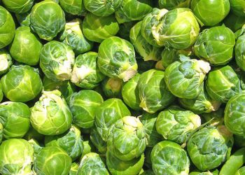 Cilat janë perimet që pengojnë sëmundjet e zemrës –