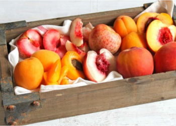 Frutat me bërthamë, “thesaret” e paçmueshme të verës –