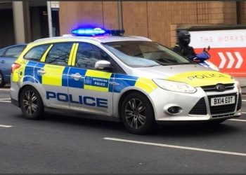 Furrën e bukës e kthyen në fermë kanabisi, arrestohet 4 shqiptarë –