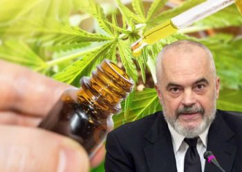 Kanabisi për qëlllime mjekësore, si do të jepen licencat/ Kushtet dhe sipërfaqet ku do të lulëzojë bima –