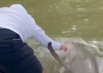 Po lante duart, peshkatarit i ndodh e keqja në çast –