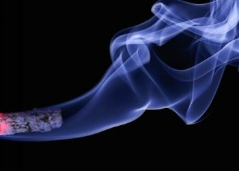 Duhani, ende shumë popullor në Rusi –