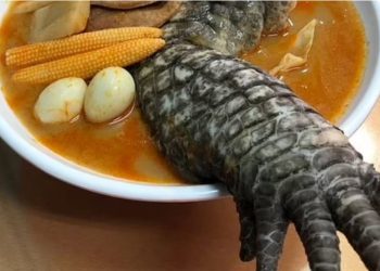 Supë me këmbë krokodili, shërbehet në restorantin tajvanez –