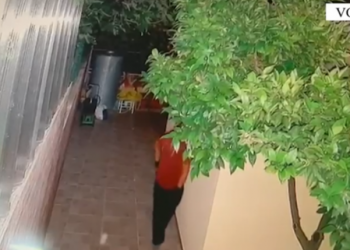 La një sasi tritoli në oborrin e një banese që të arrestohej pronari, pranga 44-vjeçarit –