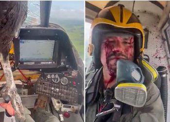 VIDEO/ Shpendi i madh përplaset me aeroplanin, mbulon me gjak pilotin –