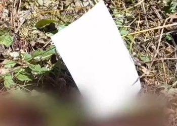 “Fillimisht do vras gruan”/ Ç’kishte shkruar Mullalli para vrasjes –