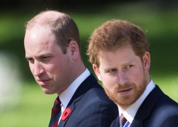 Marrëdhënia mes tyre më e ftohtë se kurrë, William dhe Harry nuk takohen gjatë eventit –