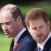 Marrëdhënia mes tyre më e ftohtë se kurrë, William dhe Harry nuk takohen gjatë eventit –