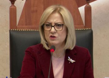 Shoferi i saj dhunoi një familje, reagon Nikolla: Policia…