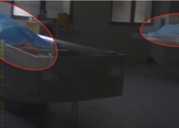 Pamje horror në Morgun e Tiranës, trupa të dekompozuar prej tre vitesh –