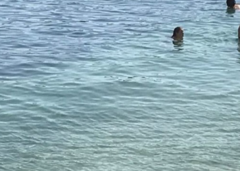 E mitura rrezikon të mbytet, turistët bëjnë mrekullinë në Shëngjin –