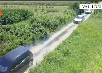 VIDEO/ Asgjesohen 810 bimë kanabis, arrestohet 30-vjeçari –