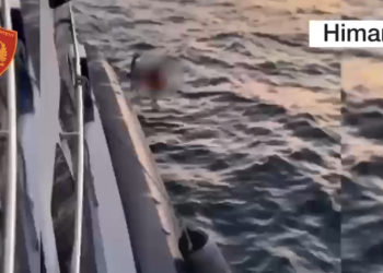 VIDEO/ U bllokuan në “Gjirin e Filikurit”, ja si shpëtohen dy turistët amerikanë –