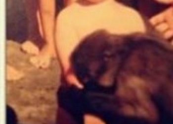 E njihni? Fëmija në foto është një ndër artistët më të pëlqyer –