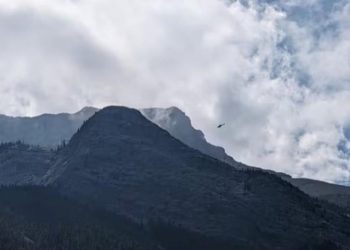 Rrëzohet një avion i vogël në Kanada, 6 persona të vdekur –