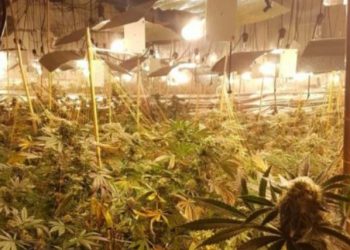 U kap me drogë, shqiptari pranon ekstradimin drejt Shqipërisë –