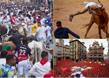 Demat ndjekin njerëzit nëpër rrugë, disa të lënduar (VIDEO) –