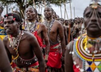 U vodhën ‘thesarin’, Universiteti i Oksfordit dëmshpërblen me 98 lopë fisin afrikan –