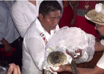 Kryebashkiaku i Meksikës martohet me krokodilin, ja pse