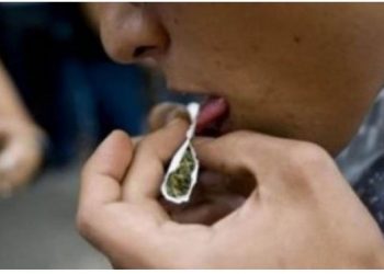 Në vështirësi të mëdha financiare, shqiptari kapet duke shitur drogë në Belgjikë –