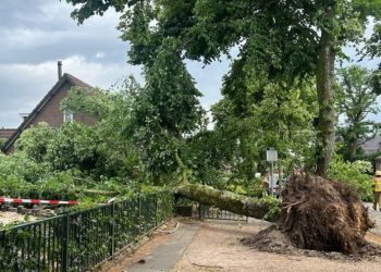 Stuhi të fuqishme godasin Holandën, anulohen fluturimet –