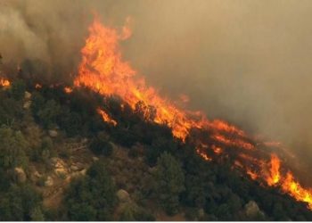 Zjarr në kodrat e Kallmit në Durrës –