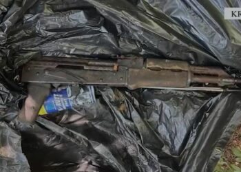 Sera kanabisi në Krujë, sekuestrohet një arsenal i madh armësh