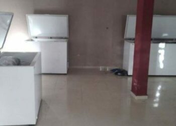 Gjenden 43 trupa të masakruar brenda frigoriferëve ngrirës –