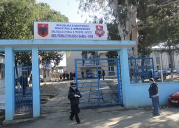 Plagos me thikë bashkëshortin, arrestohet 33-vjeçarja në Fier –