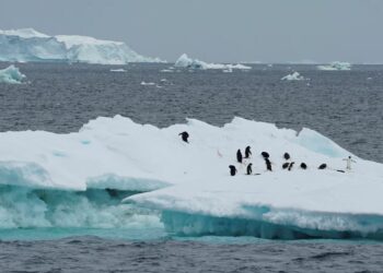 Vala e të nxehtit e shkrirja e akullit, më të zakonshme në Antarktidë –