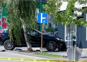 Vret ish-gruan dhe dy tjerë, vetëvritet autori