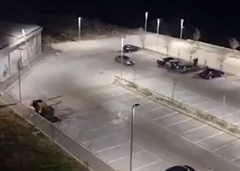 Gara shpejtësie me mjete pa dokumente, gjobiten 3 të rinj në Durrës –