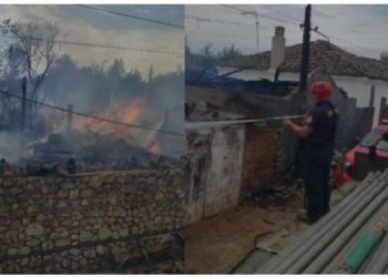 Merr flakë kasollja me ushqim për bagëtitë në Maliq –